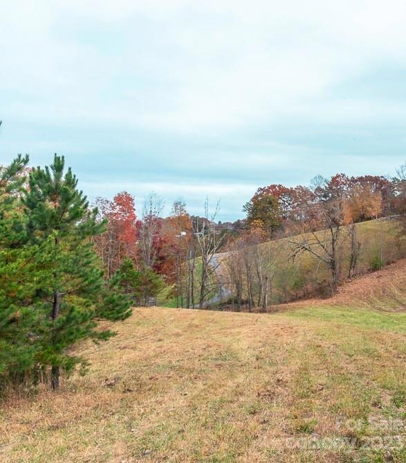 00000 Tweed Rd unit 1, Leicester, NC 28748 - photo 5