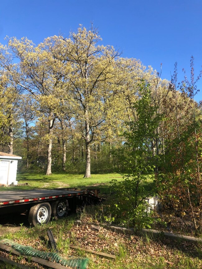 6506 W 141st Ave, Cedar Lake, IN 46303 - photo 4