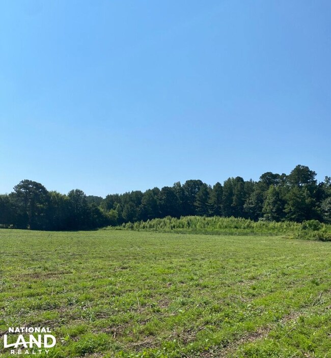 Highway 145, Columbiana, AL 35051 - photo 7