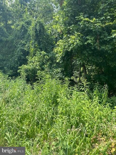 0 River Haven Dr unit WVJF2000368, Harpers Ferry, WV 25425 - photo 3