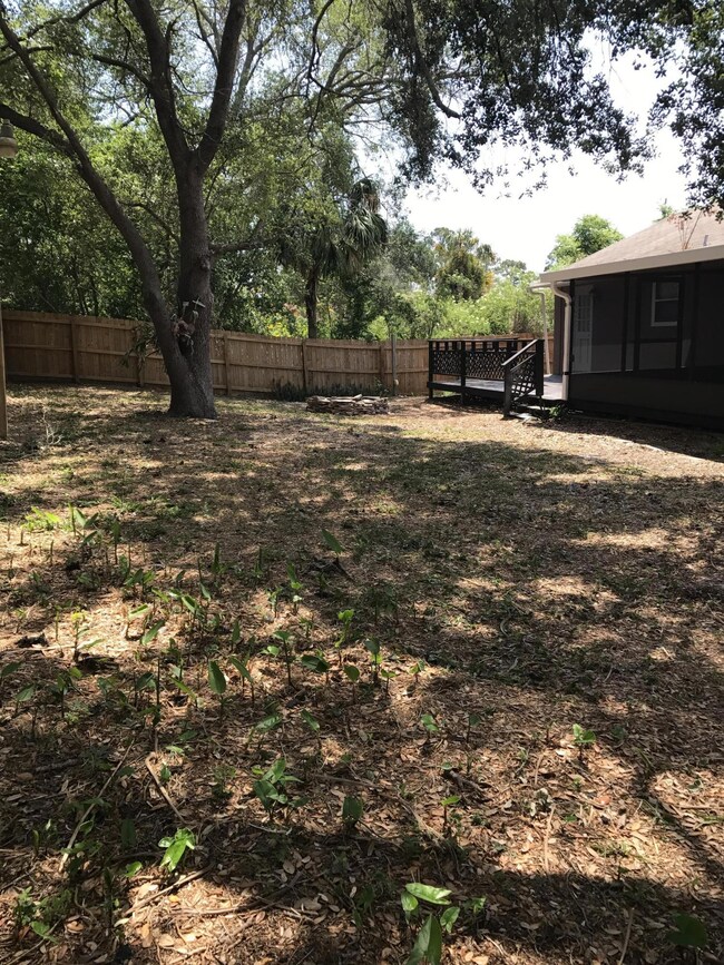 Back yard
