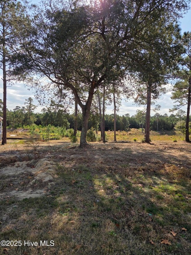 7501 Wallace Place SW, Sunset Beach, NC 28468 - photo 5