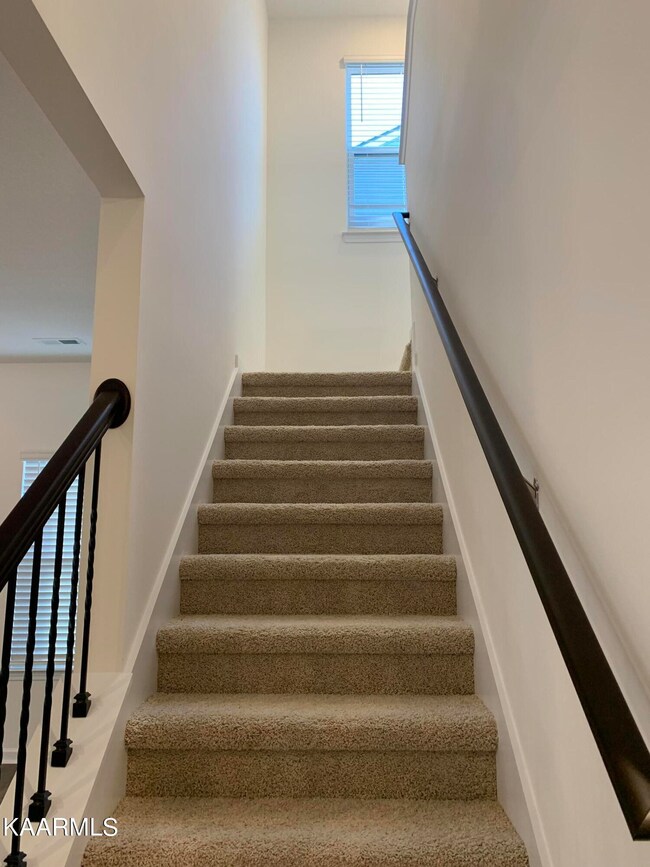 8678 Leeanna Brooke Ln, Knoxville, TN 37920 - photo 6