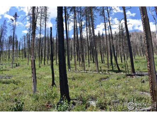 970 Deer Horn Trail, Bellvue, CO 80512 - photo 5