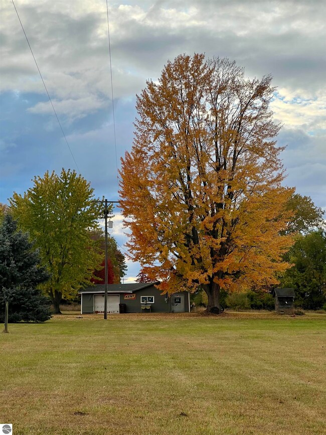 8410 E Pierce Rd, Ithaca, MI 48847 - photo 6
