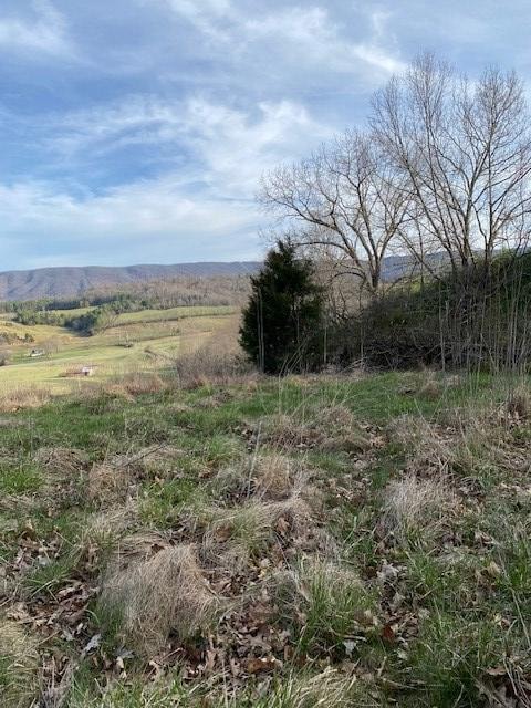 7647 S Scenic Hwy, Bland, VA 24315 - photo 6