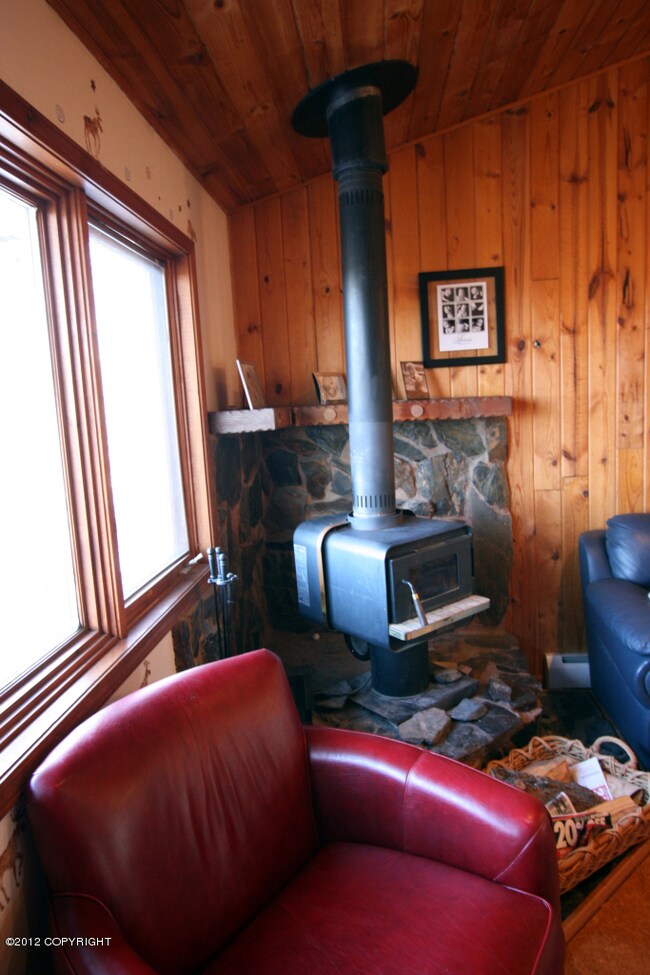 Wood stove in living room