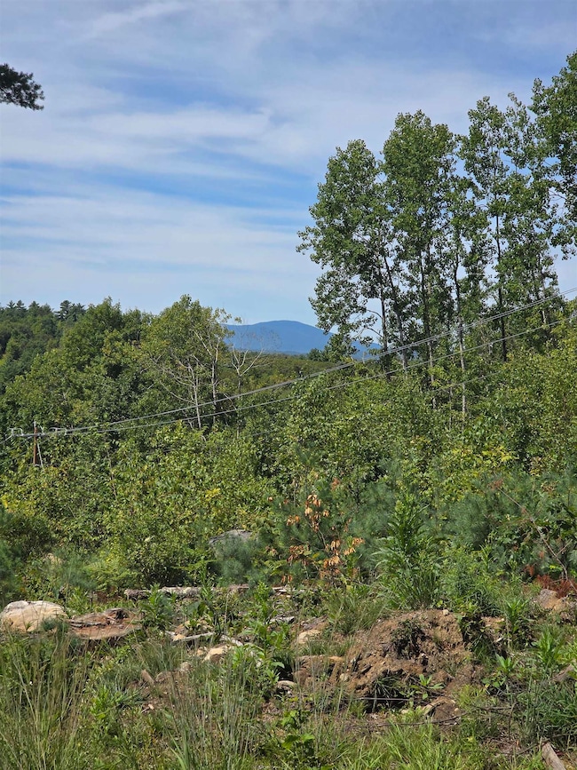 top lots have tree top views and Mt. Kearsage in the distance