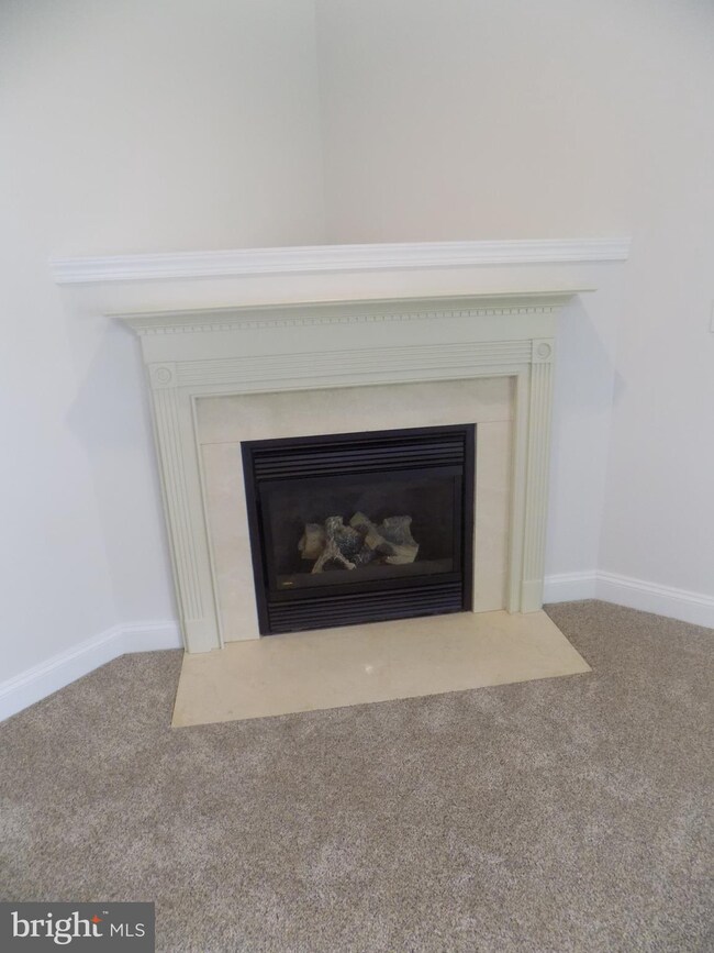 101 Clydesdale Dr, Stephens City, VA 22655 - photo 6