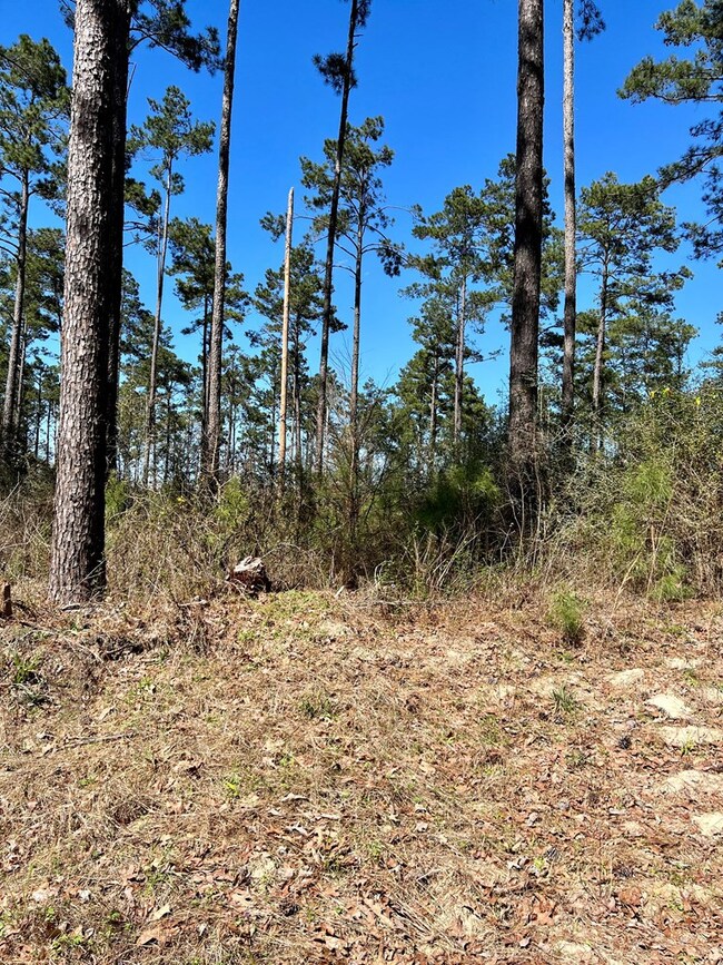 TBD Borrego Spring Rd, Nacogdoches, TX 75964 - photo 5