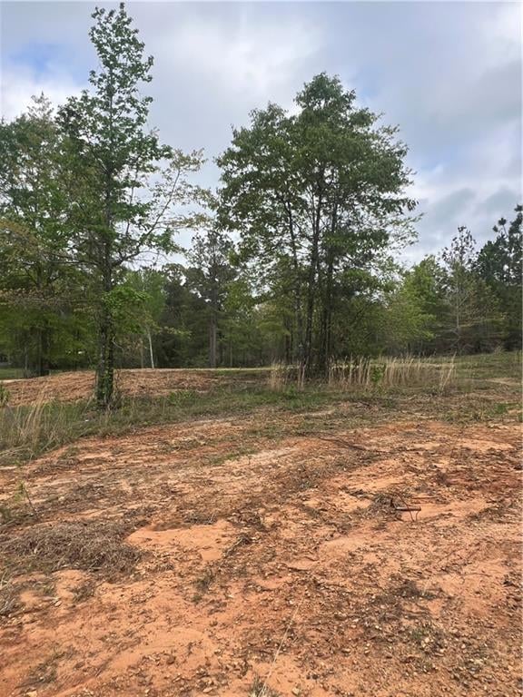 230 Hughart Rd, Pollock, LA 71467 - photo 2