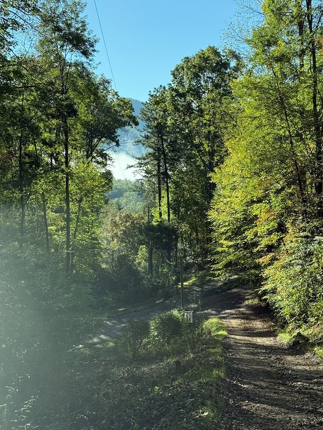 345 Cardinal Bluff Dr, Whittier, NC 28789 - photo 2