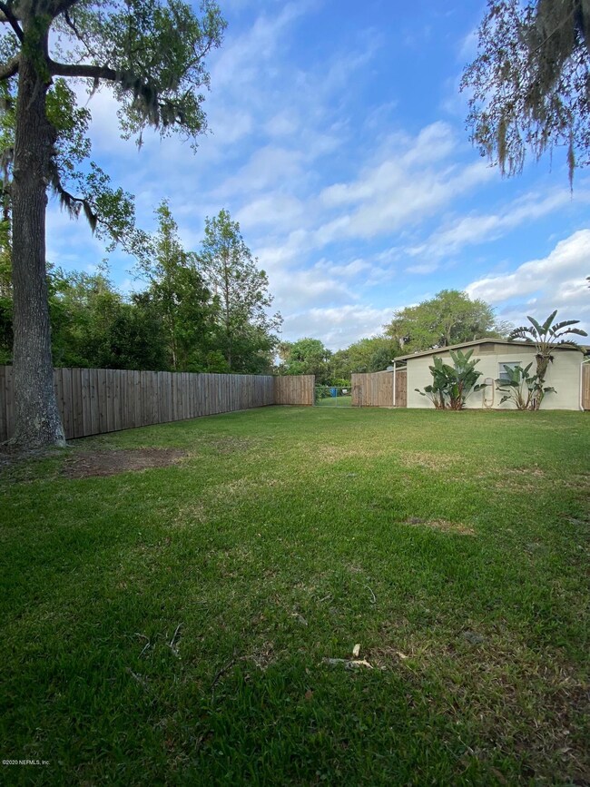 Back Yard 3