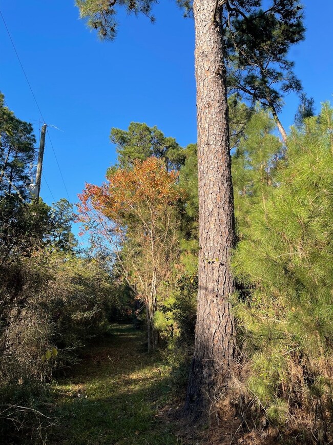 0000 Longbow St, Hockley, TX 77447 - photo 6