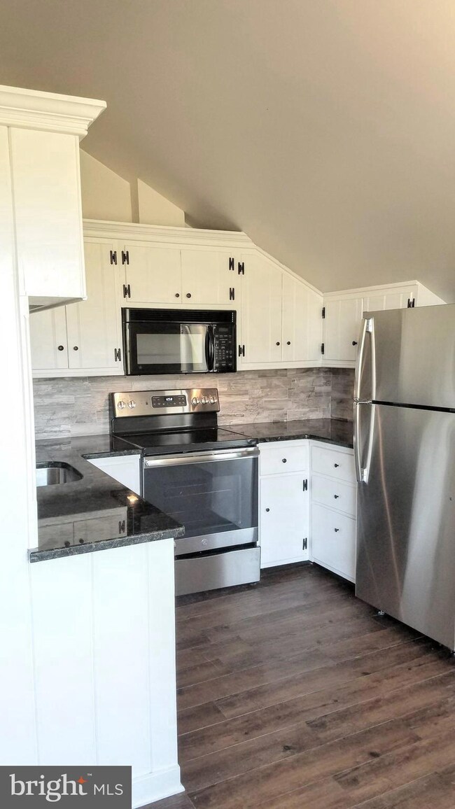 3433 Lower Mountain Rd unit A-1, Furlong, PA 18925 - photo 6