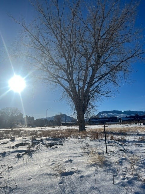 tbd Shadow St, Cody, WY 82414 - photo 2