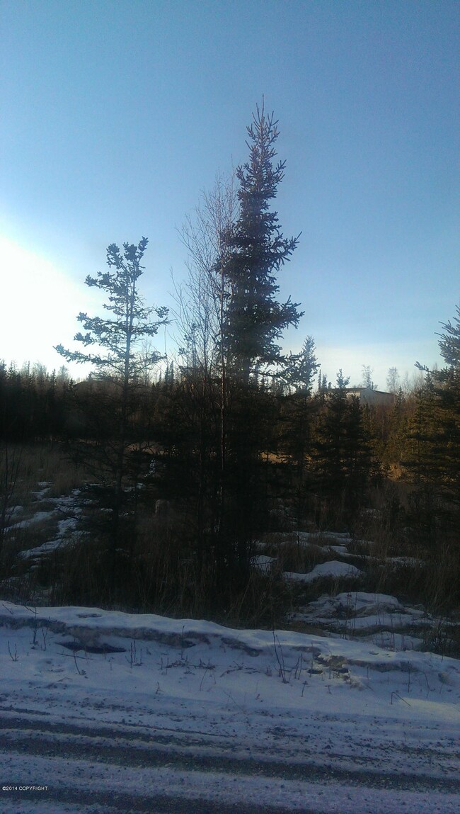 IMAG0606