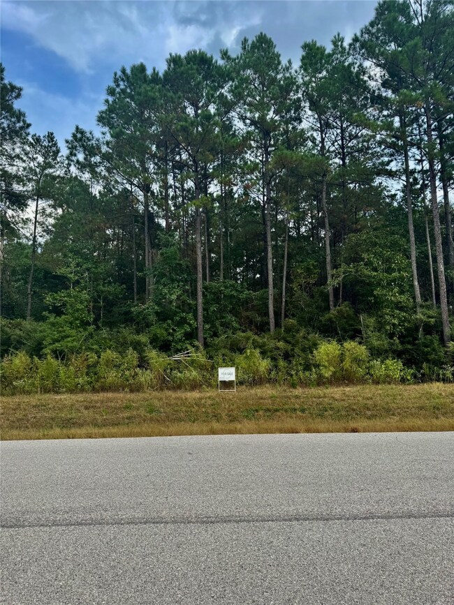 11-29-30 Grey Feather Rd, Huntsville, TX 77340 - photo 6