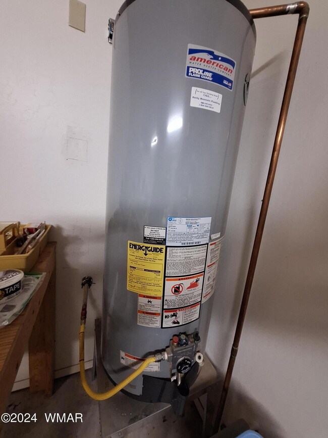 Gas Hot Water Heater