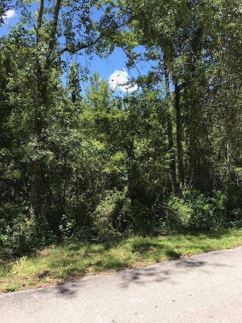 0 Mill Creek Rd, Crawfordville, FL 32327 - photo 5