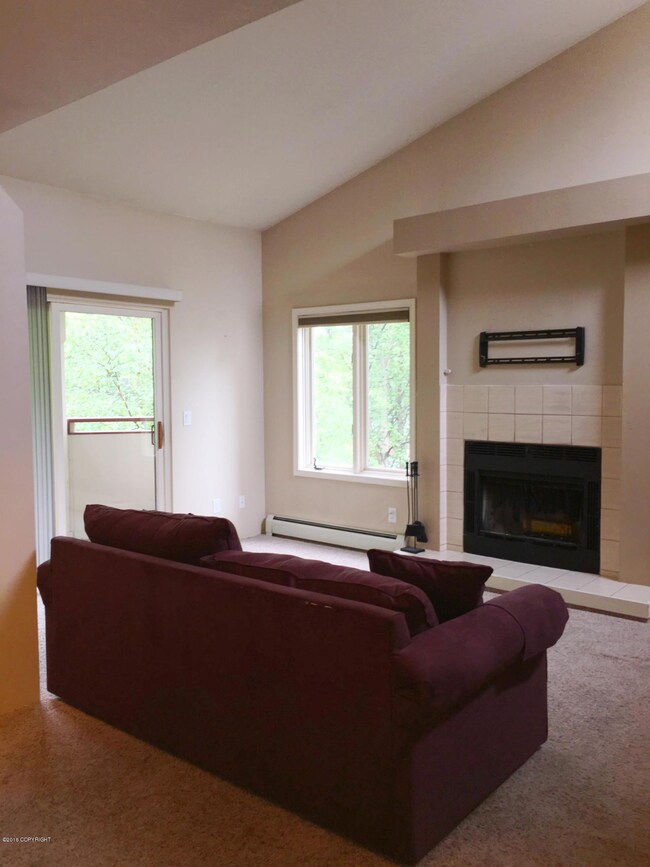 Wood Burning Fireplace