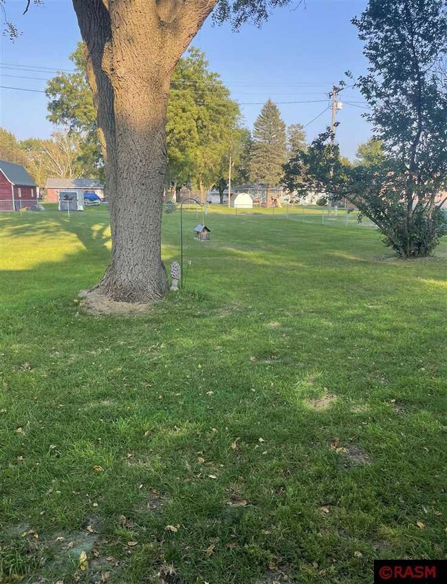 217 Dugan St S, Welcome, MN 56181 - photo 3