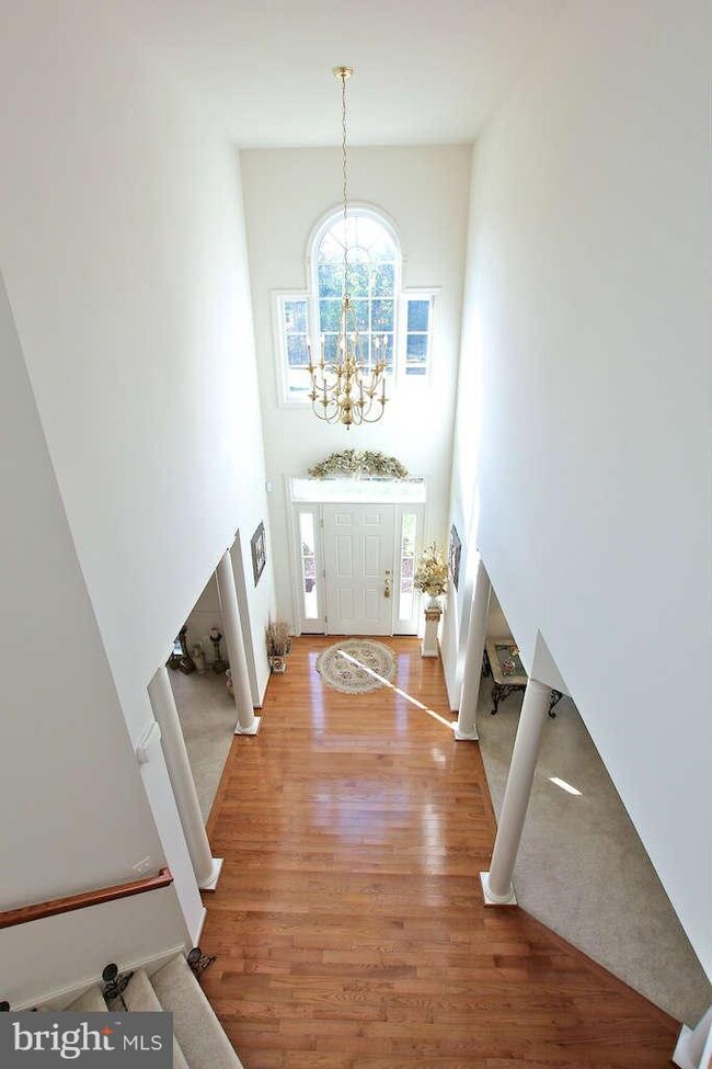 6601 Broad Creek Overlook, Fredericksburg, VA 22407 - photo 6