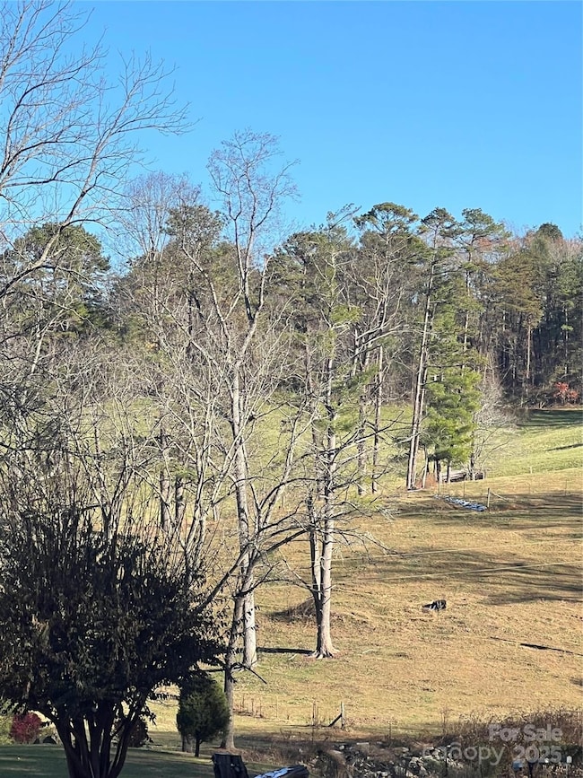 11 Beech Crest Rise None, Leicester, NC 28748 - photo 2