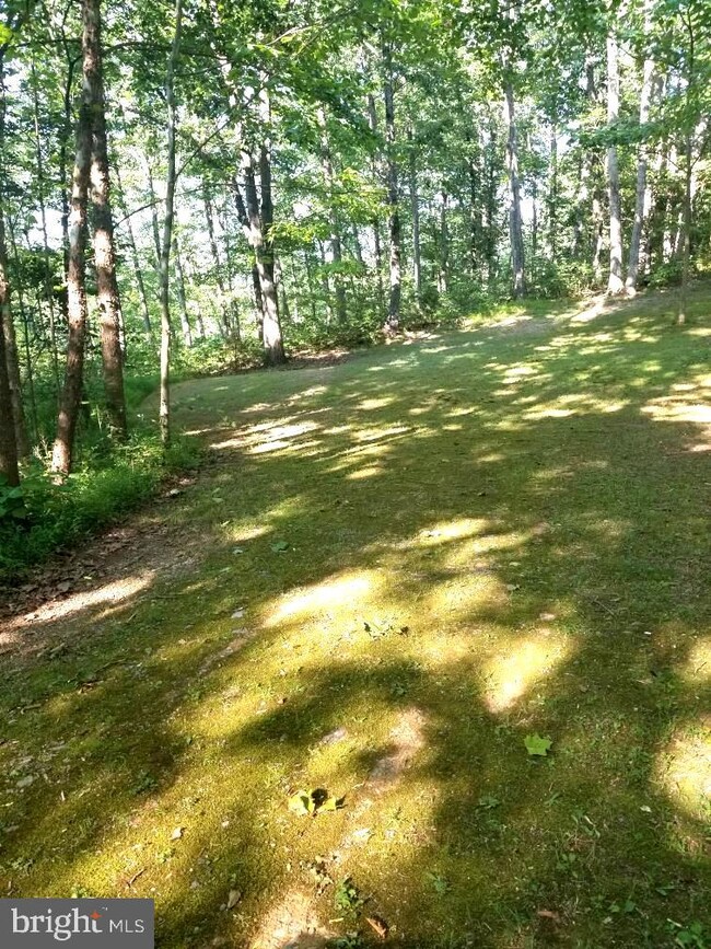 2296 Millwood Pike, Winchester, VA 22602 - photo 7