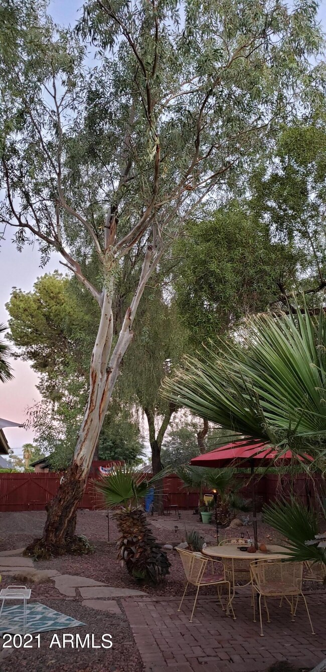 2210 N 10th St, Phoenix, AZ 85006 - photo 5