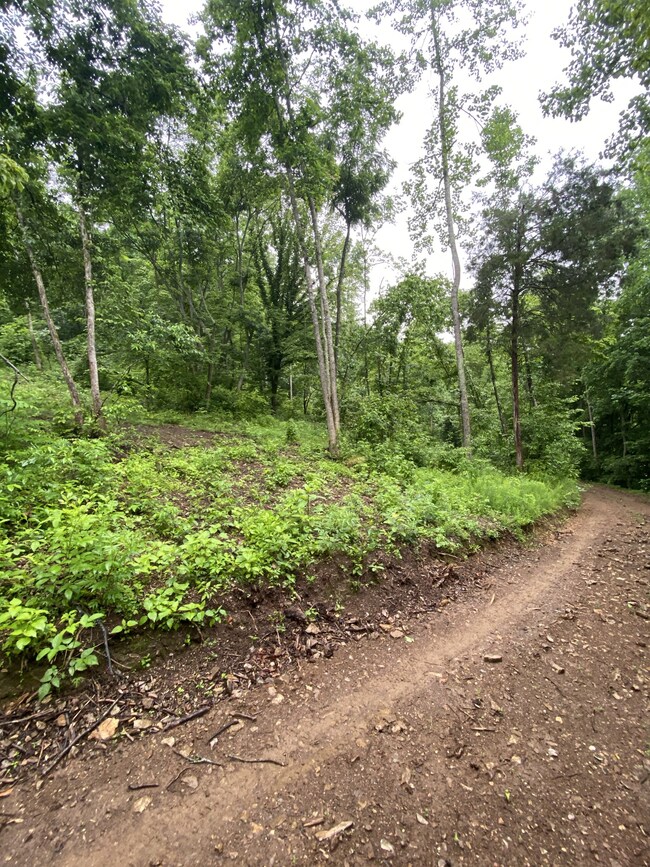 1300 Black Rd, Prospect, TN 38477 - photo 7