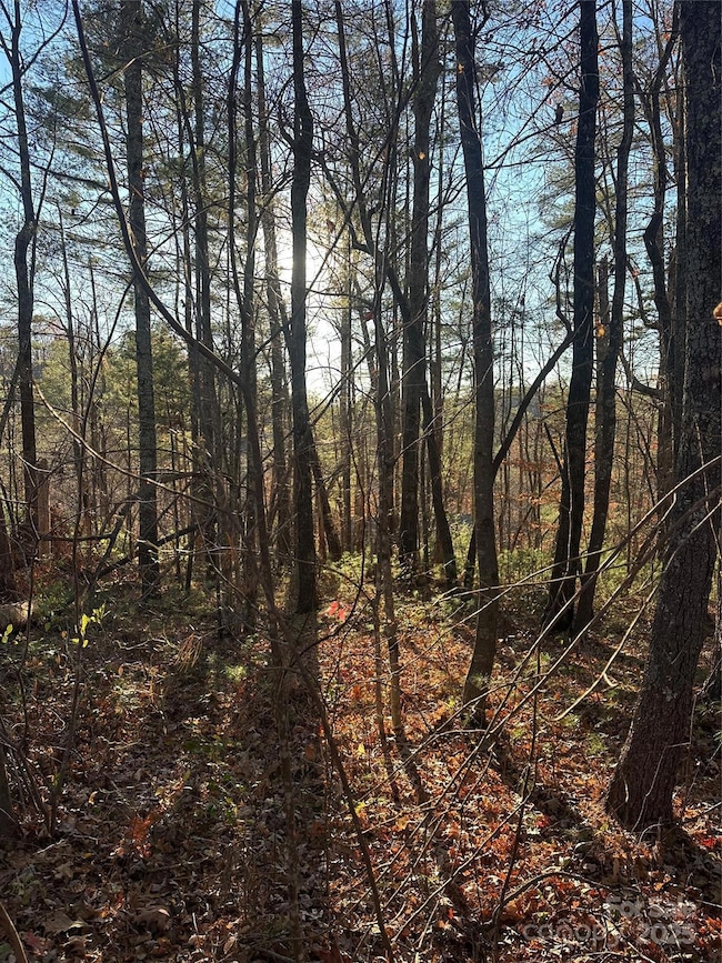 2830 Nix Creek Rd, Marion, NC 28752 - photo 3