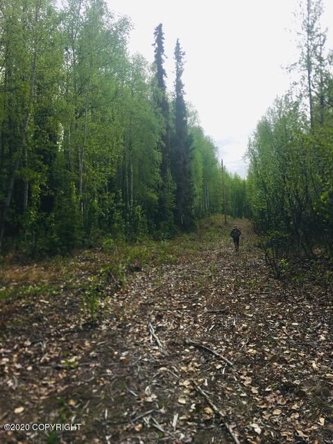 Powerline easement