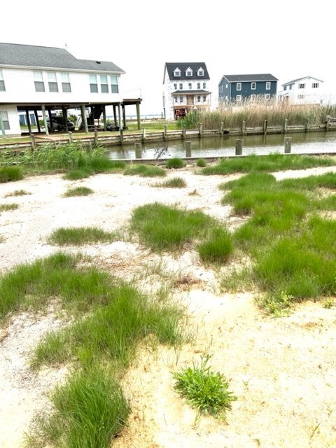 1364 Billow Ct unit 1364, Greenbackville, VA 23356 - photo 6