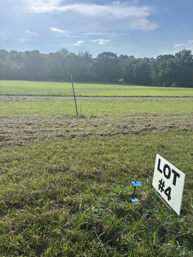 0 Pleasant Grove Rd, Estill Springs, TN 37330 - photo 2