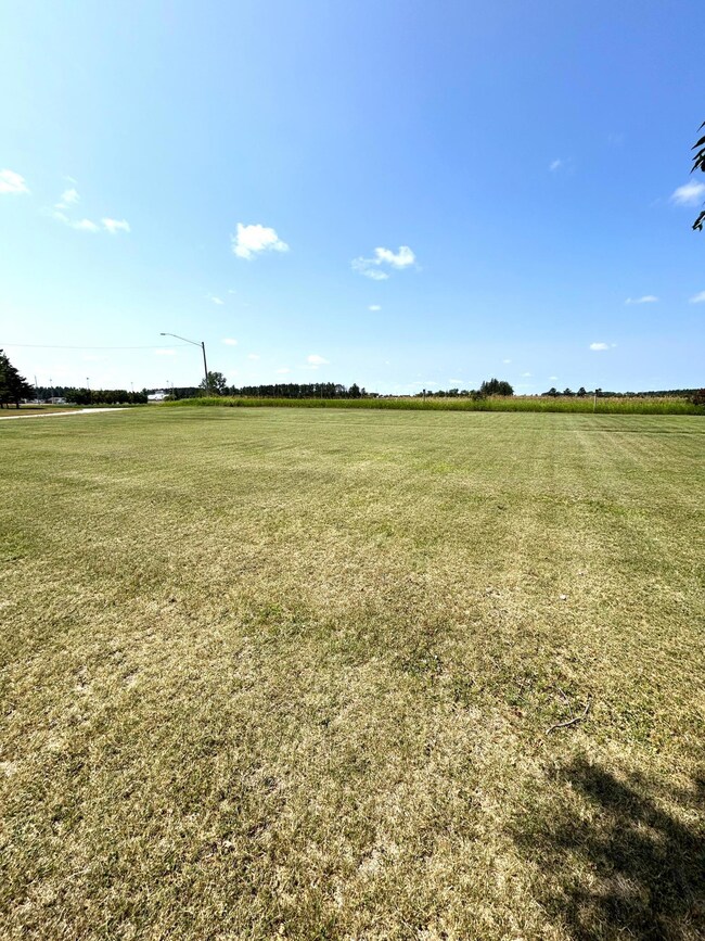 TBD Lawn St, Park Rapids, MN 56470 - photo 3