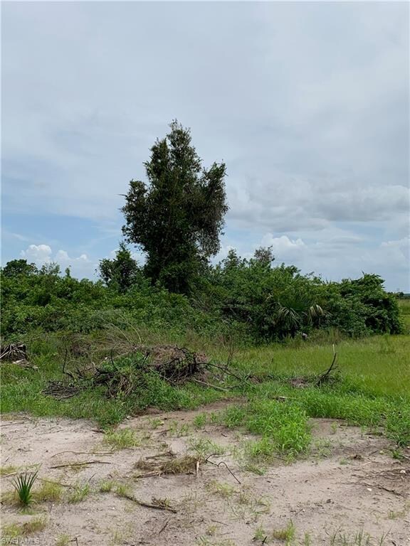 254 Loadstar St, Lehigh Acres, FL 33913 - photo 2