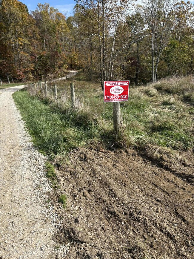 Pine Grove Ch Rd, Vanceburg, KY 41179 - photo 6