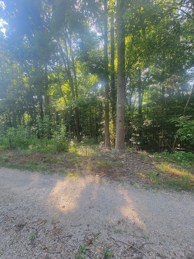 5395 Eastport Dock Rd, Monroe, TN 38573 - photo 5