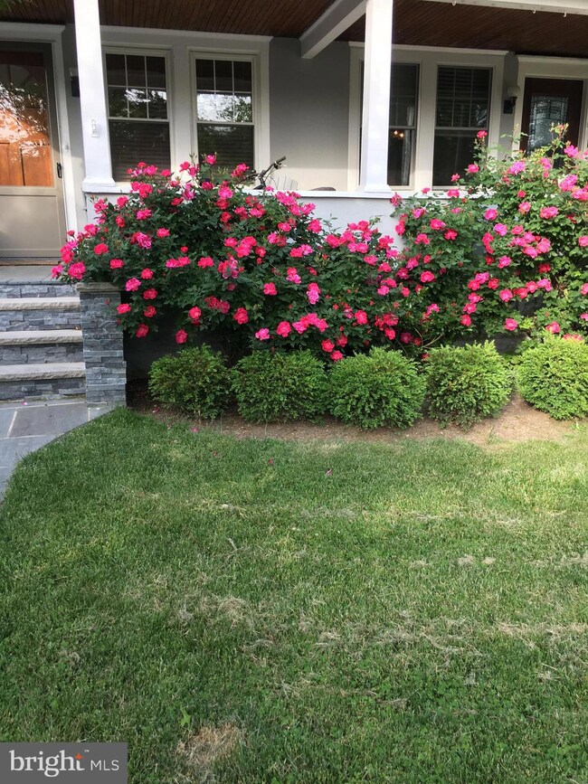 46 Wilton St, Princeton, NJ 08540 - photo 3