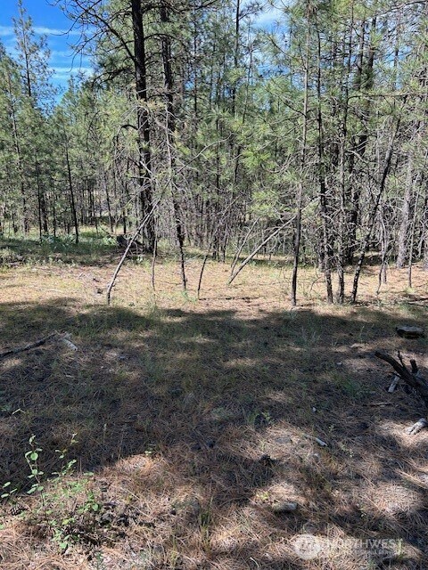 0 Rocky Ridge Rd unit NWM2426919, Davenport, WA 99169 - photo 4