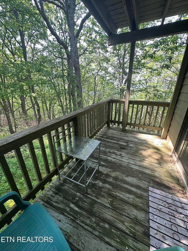 365 Moytoy Rd unit 103, Crab Orchard, TN 37723 - photo 7
