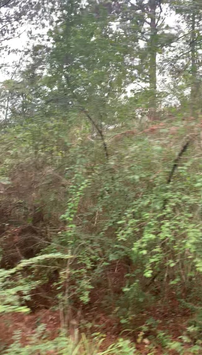 0 Broken Arrow Cir unit 63772753, Hempstead, TX 77445 - photo 4