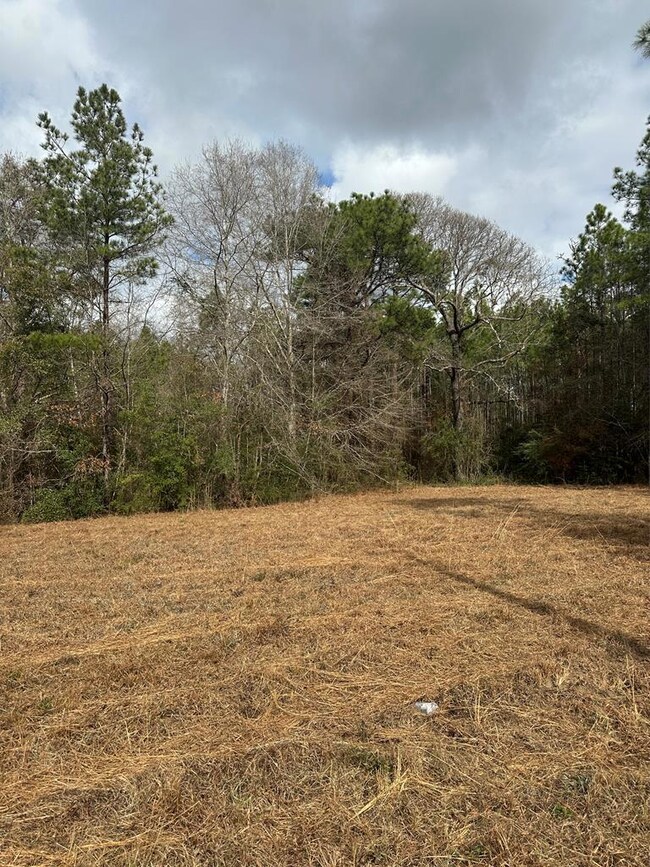 0 Bisbee Dr unit 182864, Lumberton, MS 39455 - photo 3