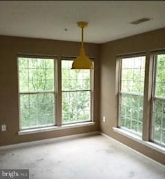 4405 Silverbrook Ln unit 203, Owings Mills, MD 21117 - photo 4