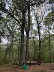 3122 County Rd, Clarksville, TX 75426 - photo 3