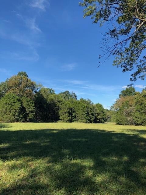 2703 Warner Rd, Lewisburg, TN 37091 - photo 4