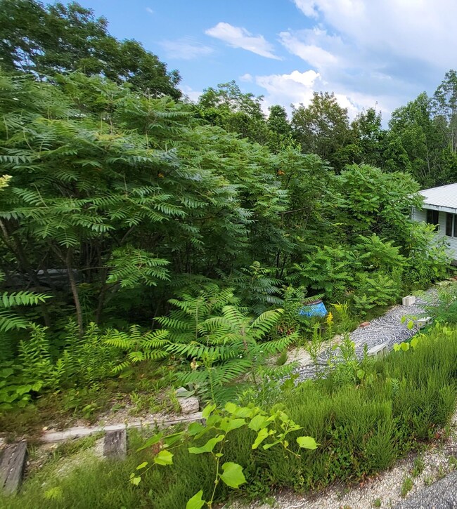 Edge of Lot 052 #2