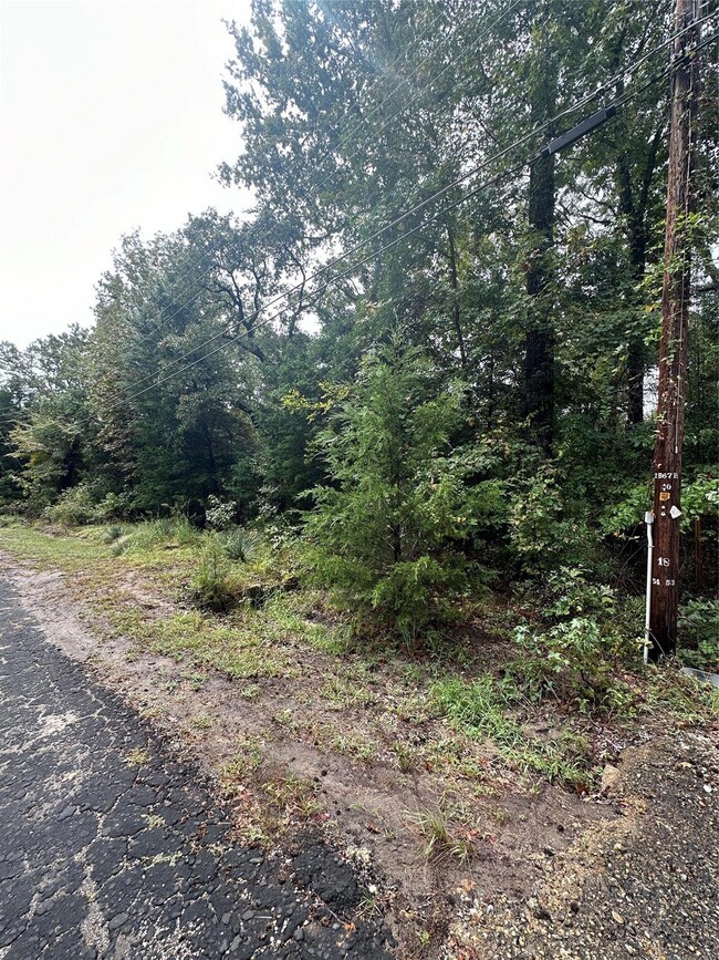 tbd Whipporwill Dr, Murchison, TX 75778 - photo 2