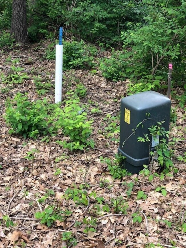 167 Red Bud Trail, West Fork, AR 72774 - photo 5